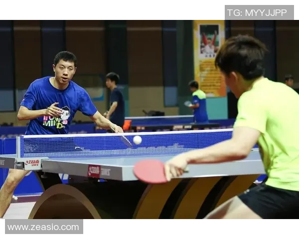 乒乓球专题：深入探讨杭州乒乓球队的比赛经验与成长之路